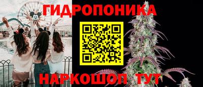 стафф Азнакаево