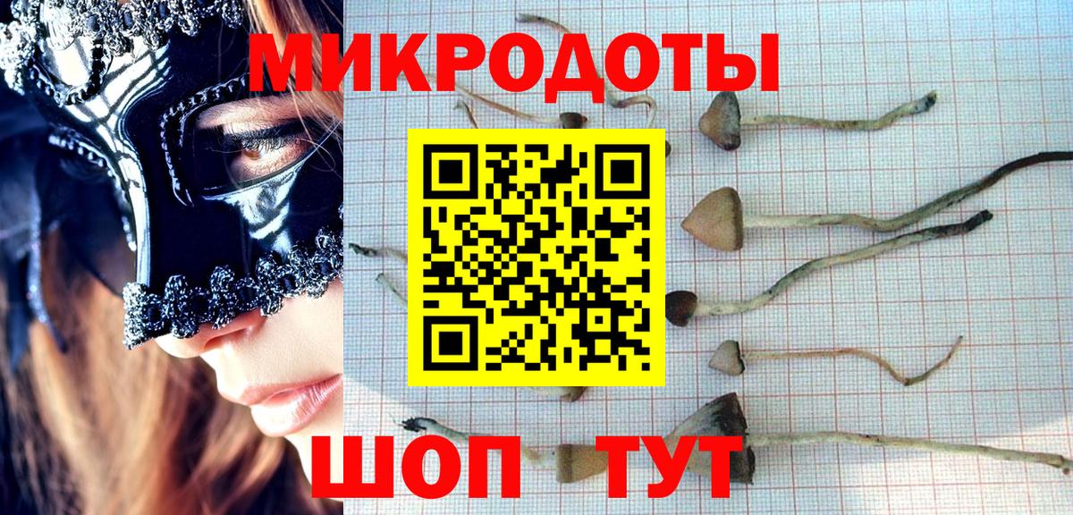 Галлюциногенные грибы мухоморы Алейск